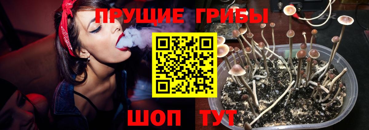 продажа наркотиков  Псилоцибиновые грибы Magic Shrooms  Вход с VPN  Верхний Уфалей  Галлюциногенные грибы MAGIC MUSHROOMS 